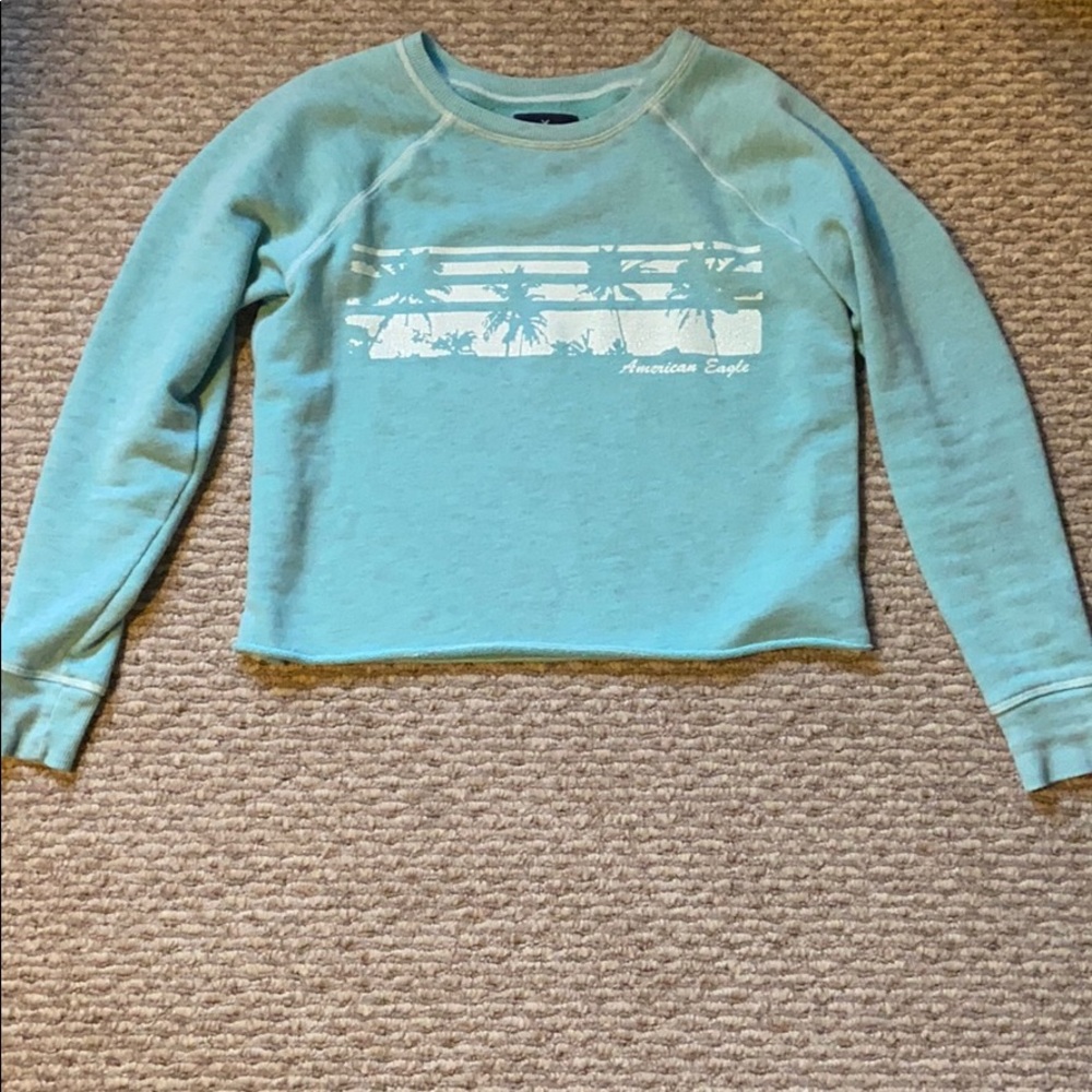 American Eagle Cropped sweater